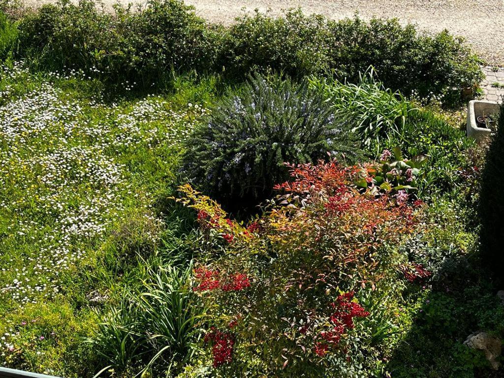 Sotto La Luna Casa In Campagna 카스텔 볼로네제 외부 사진